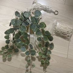 IKEA フェイクグリーン　インテリアセットの画像