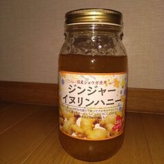 ジンジャーイヌリンハニー　800g　国産しょうがの画像