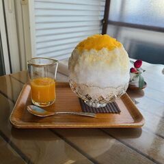 一年中かき氷🍧✨を食べてる人と友達になりたいです。 - メンバー募集