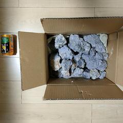 裂渓石　約10kg