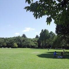 🌲自然とつながるハイキング&ウォーキング🌲