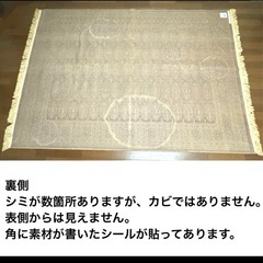 ベルギー製　CHIRZ　カーペット　絨毯　ナチュラルヤーンオーガニック　2.3x1.6m 短い毛で掃除機がけが楽！の画像