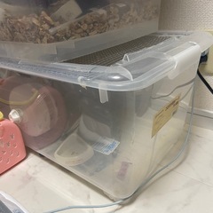 小動物ケージ