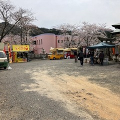 第4回湊神社　春マルシェ - 地域/お祭り
