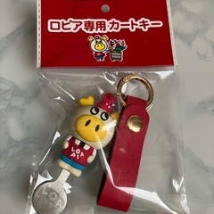 ロピア専用カートキー
の画像