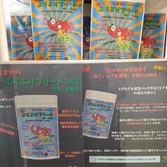 ★近松めだか（たまやの「ぶりぶりブリード」）の画像