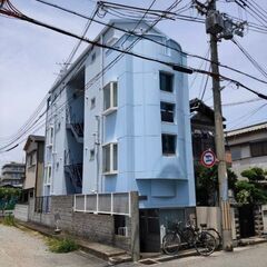 ★近松めだか（たまやの「ぶりぶりブリード」）の画像