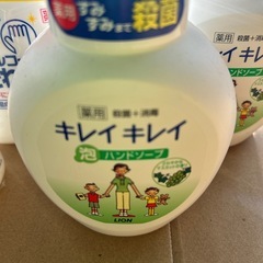  アルコール消毒綺麗な手薬用2本
キレイキレイ泡バンドソープ2本の画像