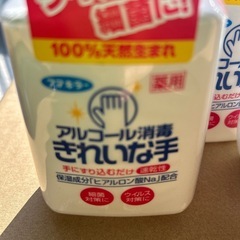  アルコール消毒綺麗な手薬用2本
キレイキレイ泡バンドソープ2本の画像