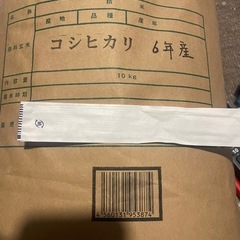 新米‼️栃木産コシヒカリ10キロ