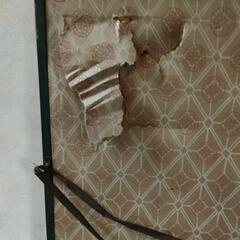 琴塚英一 竹の画像