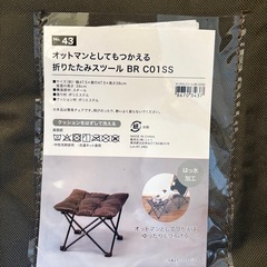 (ニトリ)折りたたみスツール
の画像
