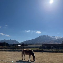 ハイキング友達が欲しいです☺️ - メンバー募集