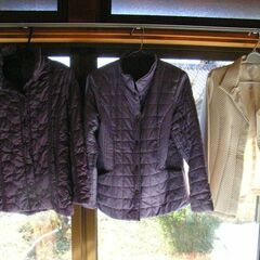 婦人-中綿ショ－トコート、ブルゾン