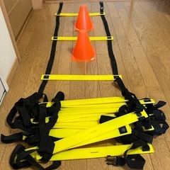 mitreマイター　軽量スピードトレーニングラダー　収納バックと...