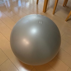 TECHNOGYM   イタリア製バランスボール55cm