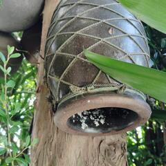 タコツボ　レトロ　オブジェ　居酒屋などに　庭のオブジェにの画像