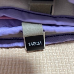 スノーグローブの画像