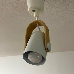 今週中半額　ライトの画像