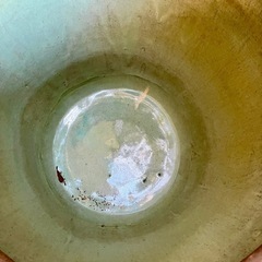 睡蓮鉢　直径56cm　水鉢　メダカ鉢 水瓶　壺 金魚鉢　ガーデニング　ビオトープの画像