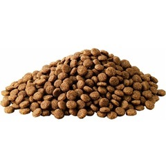 ドックフード　4.8kg の画像