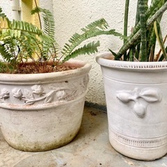 イタリア製 大型 陶器 プランター 植木鉢 虎の尾 サンスベリア...