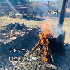 🎋竹🎋有ります🙌物々交換可能です🙆‍♀️♻️ たけ　竹　の画像