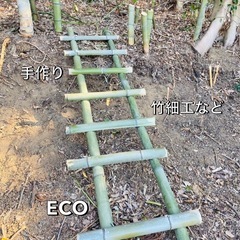 🎋竹🎋有ります🙌物々交換可能です🙆‍♀️♻️ たけ　竹　の画像