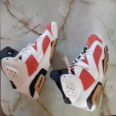 ナイキ　NIKE　JORDAN6　27.5センチ　美品の画像