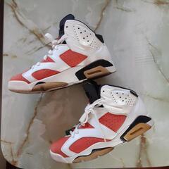 ナイキ　NIKE　JORDAN6　27.5センチ　美品の画像