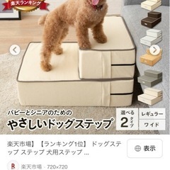 ペット用階段、ステップの画像