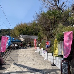 ◆横須賀◆第3回青空市◆2025年3月30日(日)◆花祭りイベント開催◆衣笠山桜まつりのふもとにて◆衣笠山公園近く  - イベント