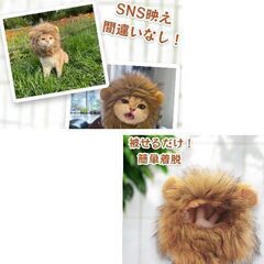 ペットコスプレ/ライオンかぶり物（新品）半額の画像