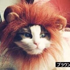 ペットコスプレ/ライオンかぶり物（新品）半額の画像