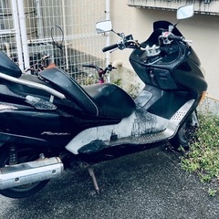 フォルツァMF08 2台