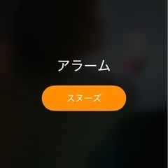 本日2/9