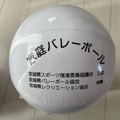 ビニバ🏐メンバー募集
