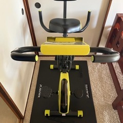 サイクリングマシーンジャンク
