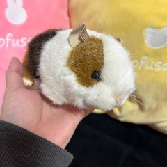 モルモット ぬいぐるみの中古が安い！激安で譲ります・無料で