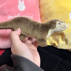 無料✨動物園コツメカワウソぬいぐるみの画像