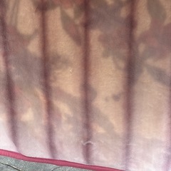 受取者決まりました！シングル　毛布の画像