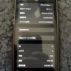 【美品】iPhone12pro 256G 本体パシフィックブルーの画像