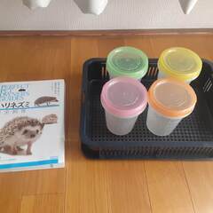 ハリネズミ飼育セットの画像