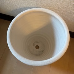 観葉植物などに　植木鉢の画像