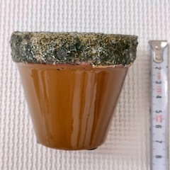 多肉植物　花器の画像