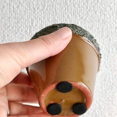 多肉植物　花器の画像