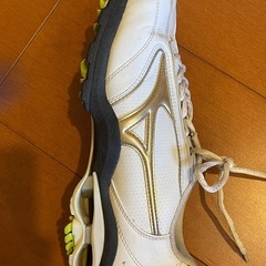 ゴルフシューズ　女性用　24.5cmの画像
