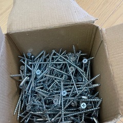 🪛 (2/13木まで)木工用ネジ🔩300本くらいの画像