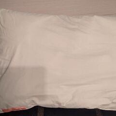 【受取先決定】枕2個（ロフテー、アイリスオーヤマ）の画像