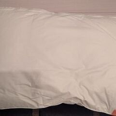 【受取先決定】枕2個（ロフテー、アイリスオーヤマ）の画像
